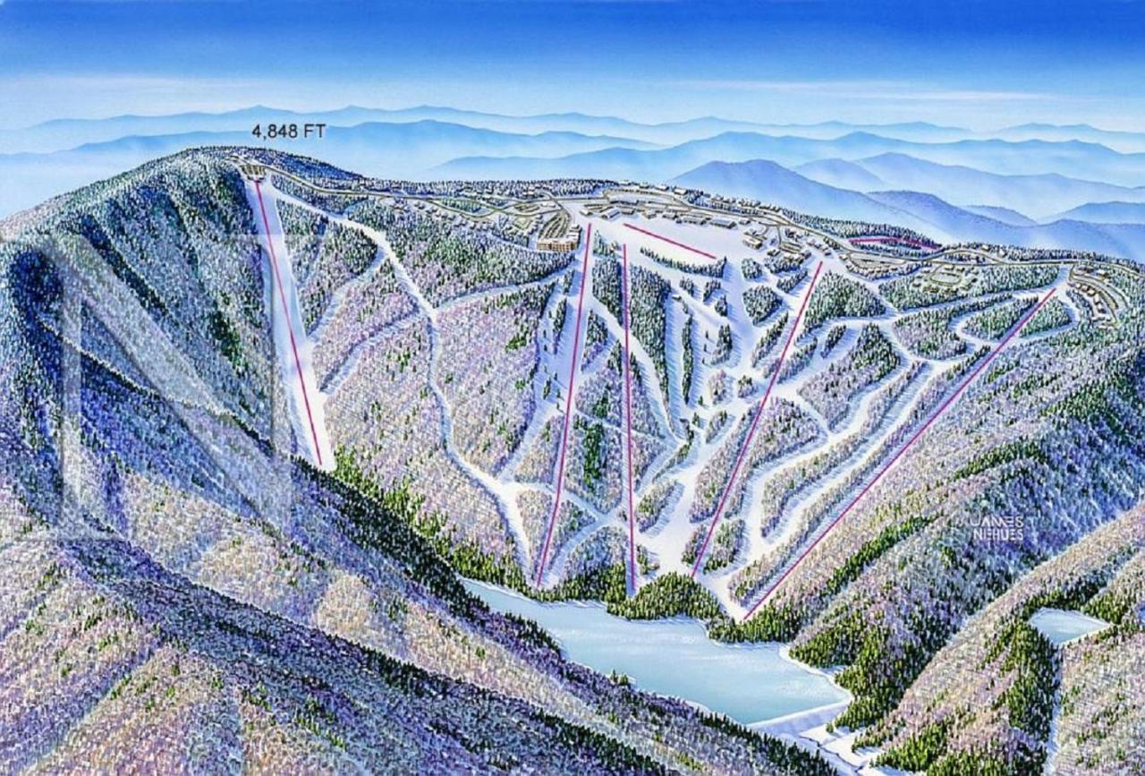Stroll To Slopes, Village Area, Ski In-Out Mtlodge 151 斯诺肖 外观 照片